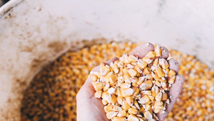 Применение датчика INNOLEVEL серии PS для контроля заполнения бункеры перед гранулятором